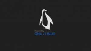 capa-post-linux-historia-linus-torvalds-astronauts-developers